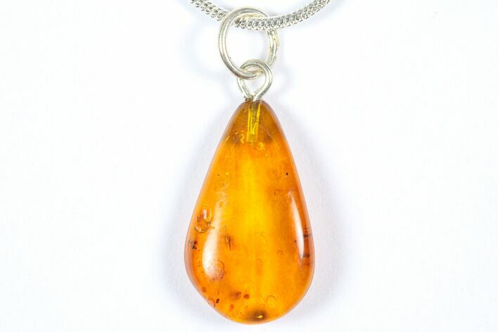 Polished Baltic Amber Pendant (Necklace) - Contains Fly! #369005
